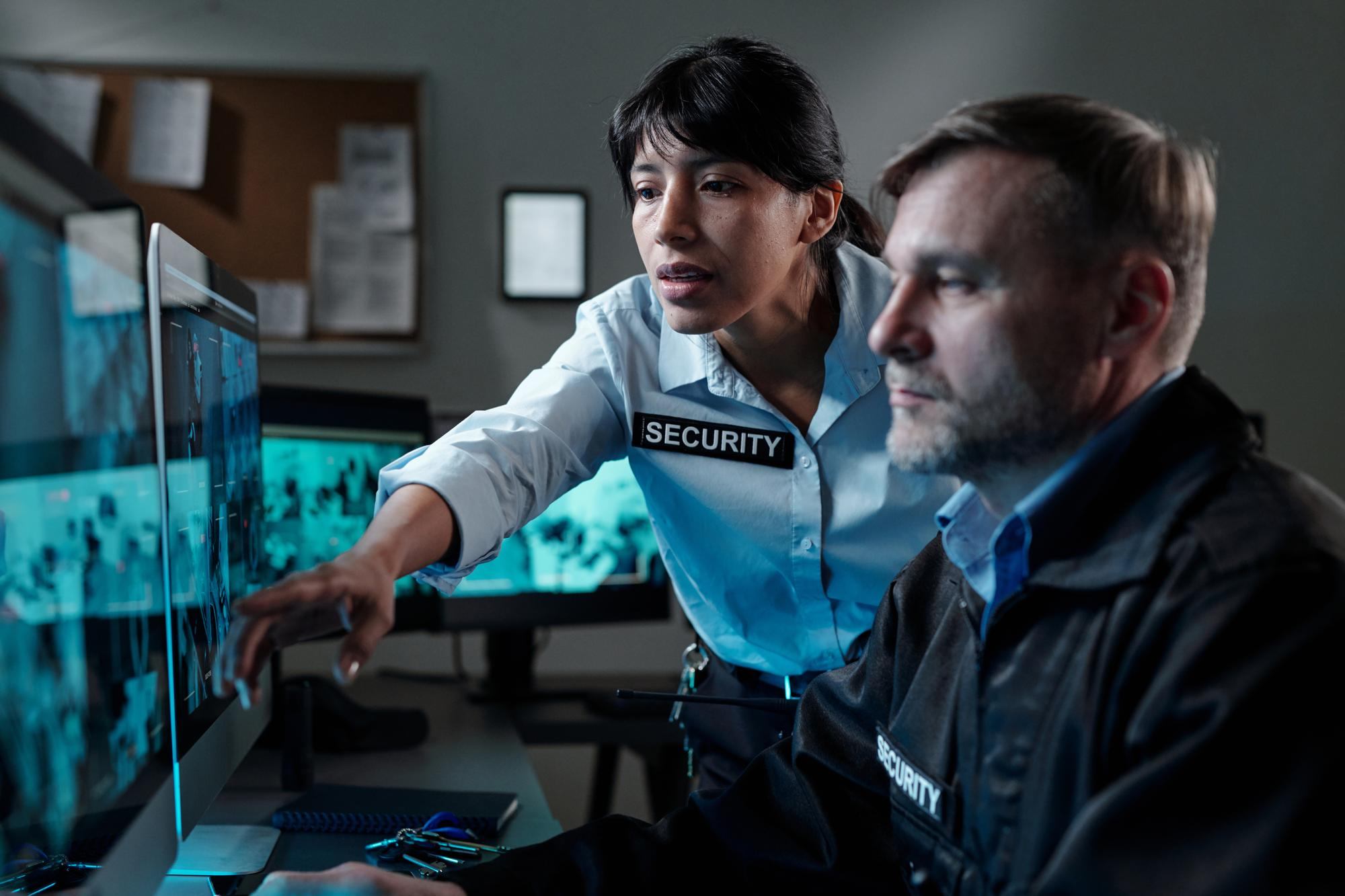 Security Consulting